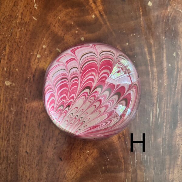 Small Paperweight - Image 9